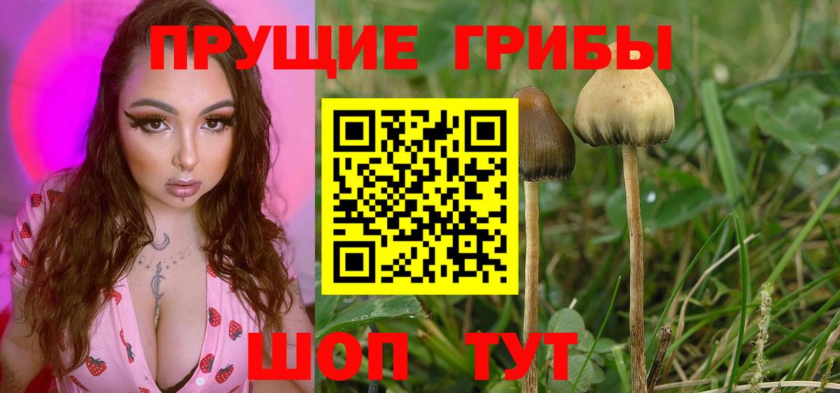 Тула  Псилоцибиновые грибы мицелий  Галлюциногенные грибы мухоморы  Вход с VPN 