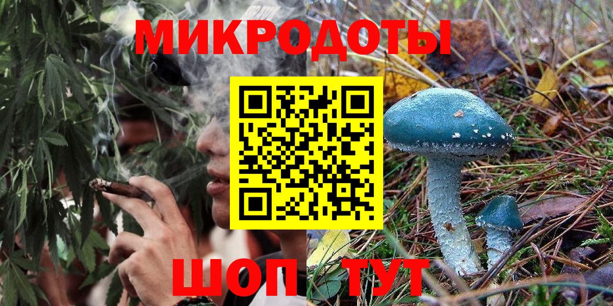 Псилоцибиновые грибы Cubensis Тула